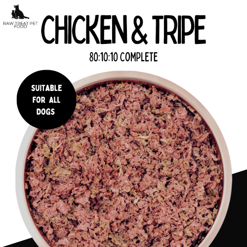 RAW PET TREAT - Chicken & Tripe