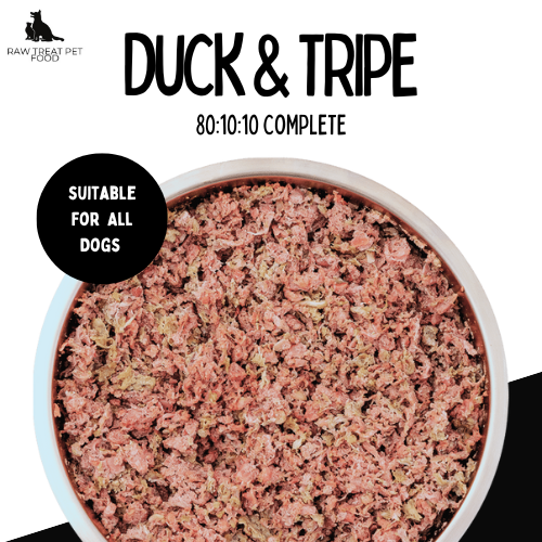 RAW TREAT PETFOOD - Duck & Tripe