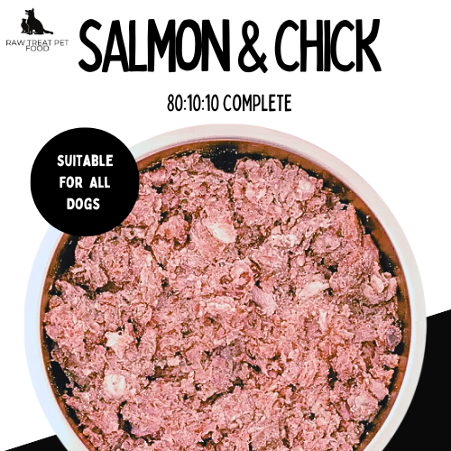 RAW TREAT PETFOOD - Salmon & Chicken