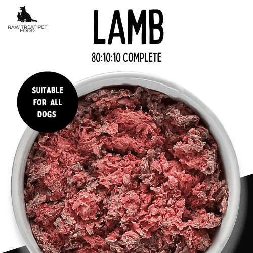 RAW TREAT PETFOOD - Lamb