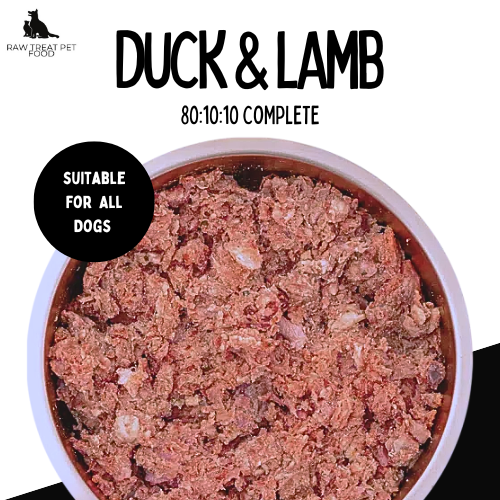 RAW TREAT PETFOOD - Duck & Lamb