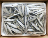 SPRATS