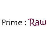 PRIME RAW - Just Salmon